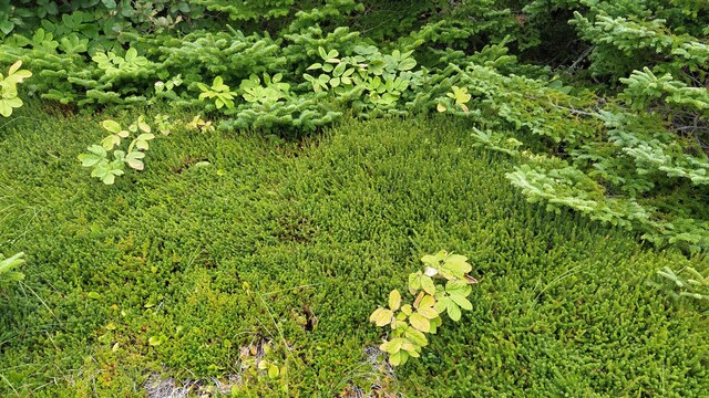 Ternuako ehundurak 3